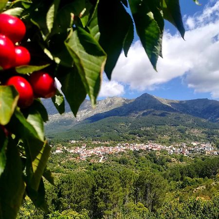 Albareilla By #Cherrygredos El Arenal  Exterior photo