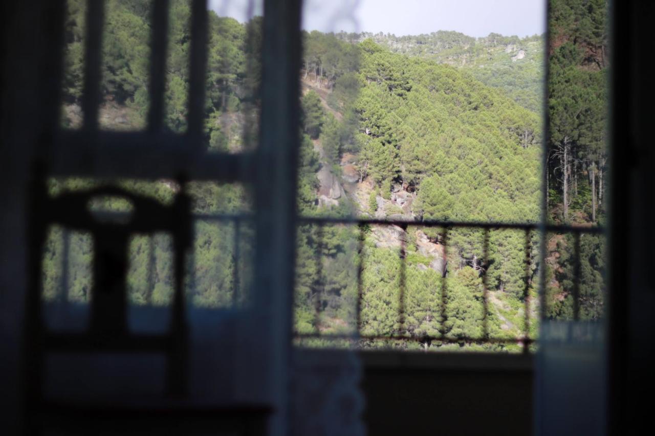 Albareilla By #Cherrygredos El Arenal  Exterior photo